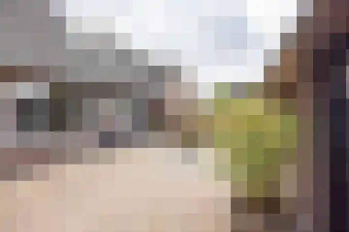 Waalstraat 27 Hengelo thumbnail 55