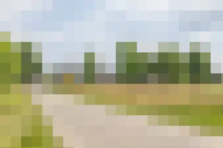 Waalstraat 27 Hengelo thumbnail 59