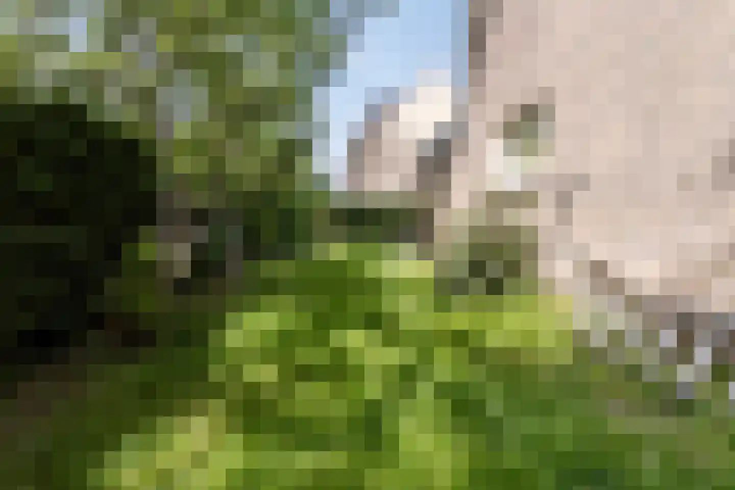Waalstraat 28 Alkmaar thumbnail 21
