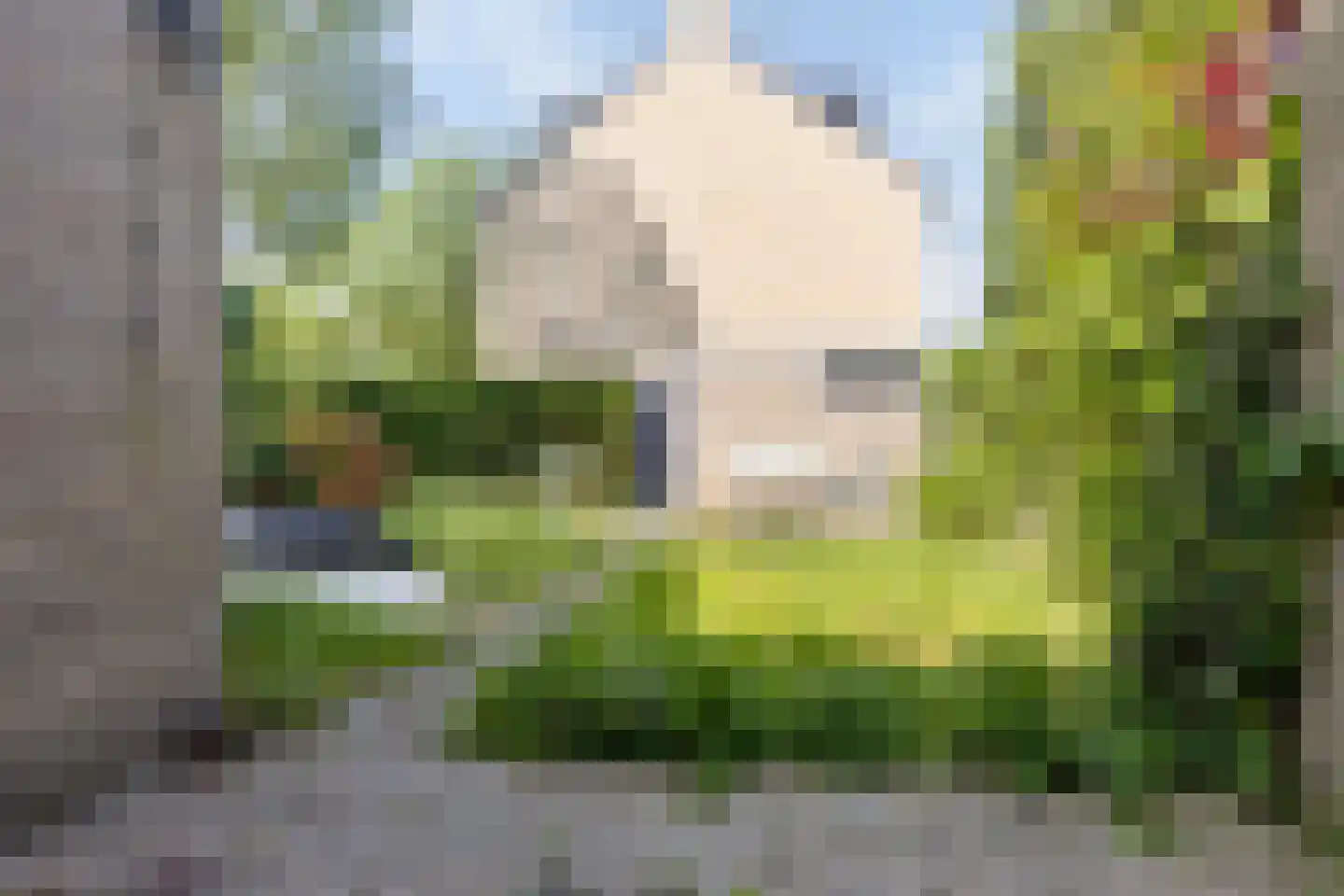 Waalstraat 28 Alkmaar thumbnail 22