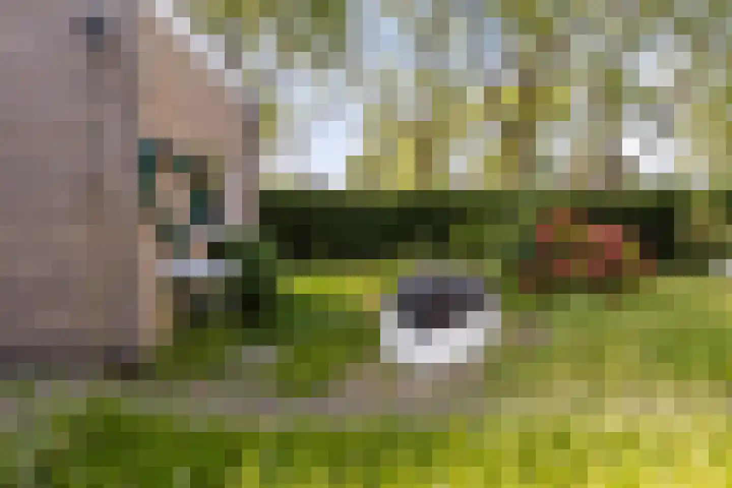 Waalstraat 28 Alkmaar thumbnail 23
