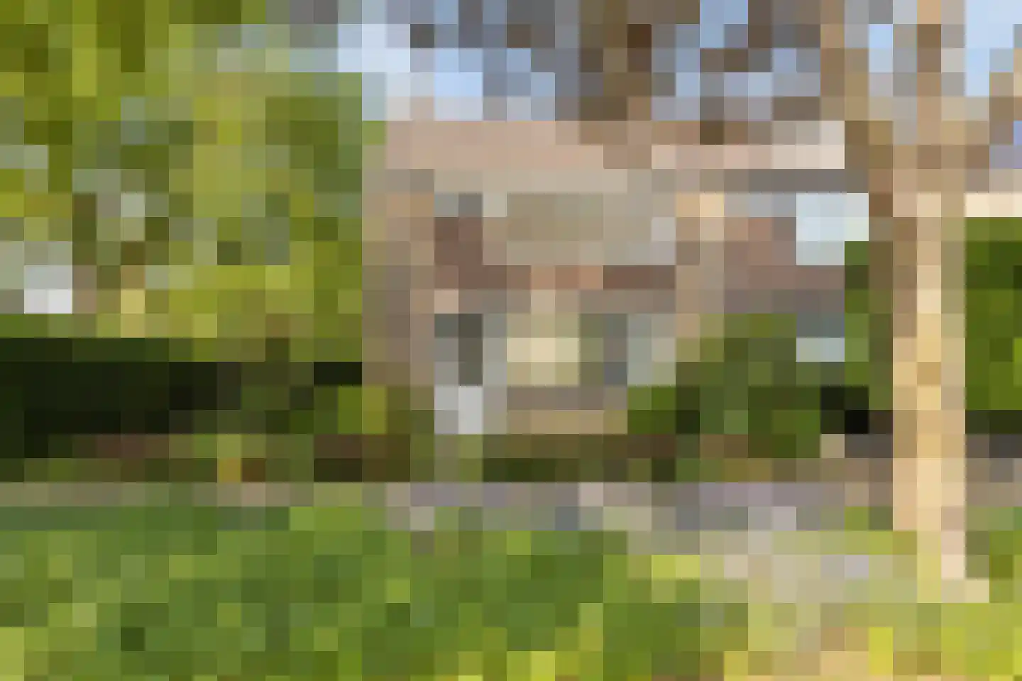 Waalstraat 28 Alkmaar thumbnail 32