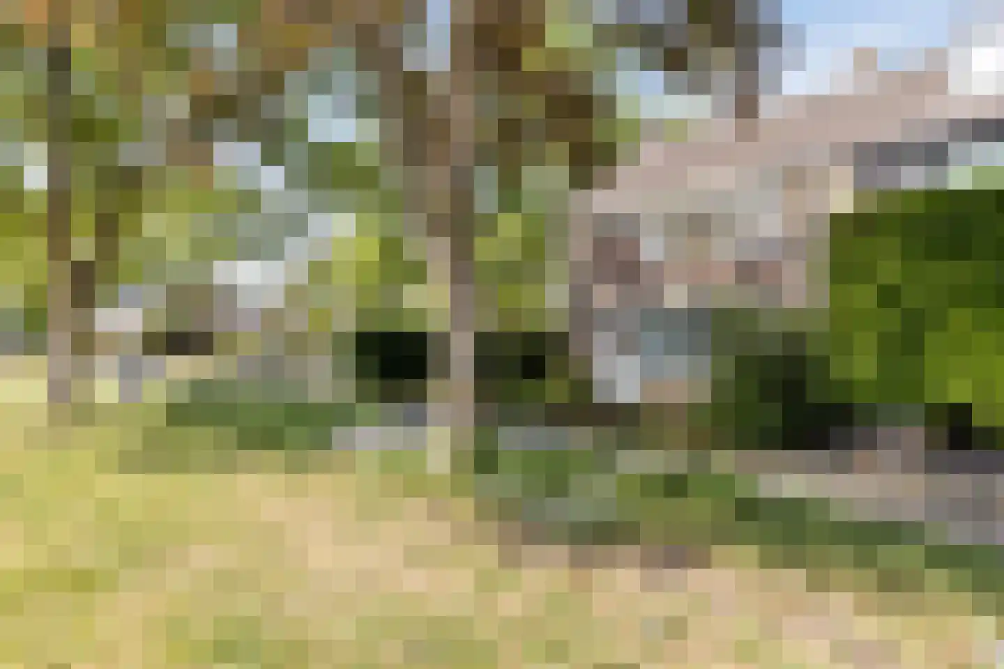 Waalstraat 28 Alkmaar thumbnail 33