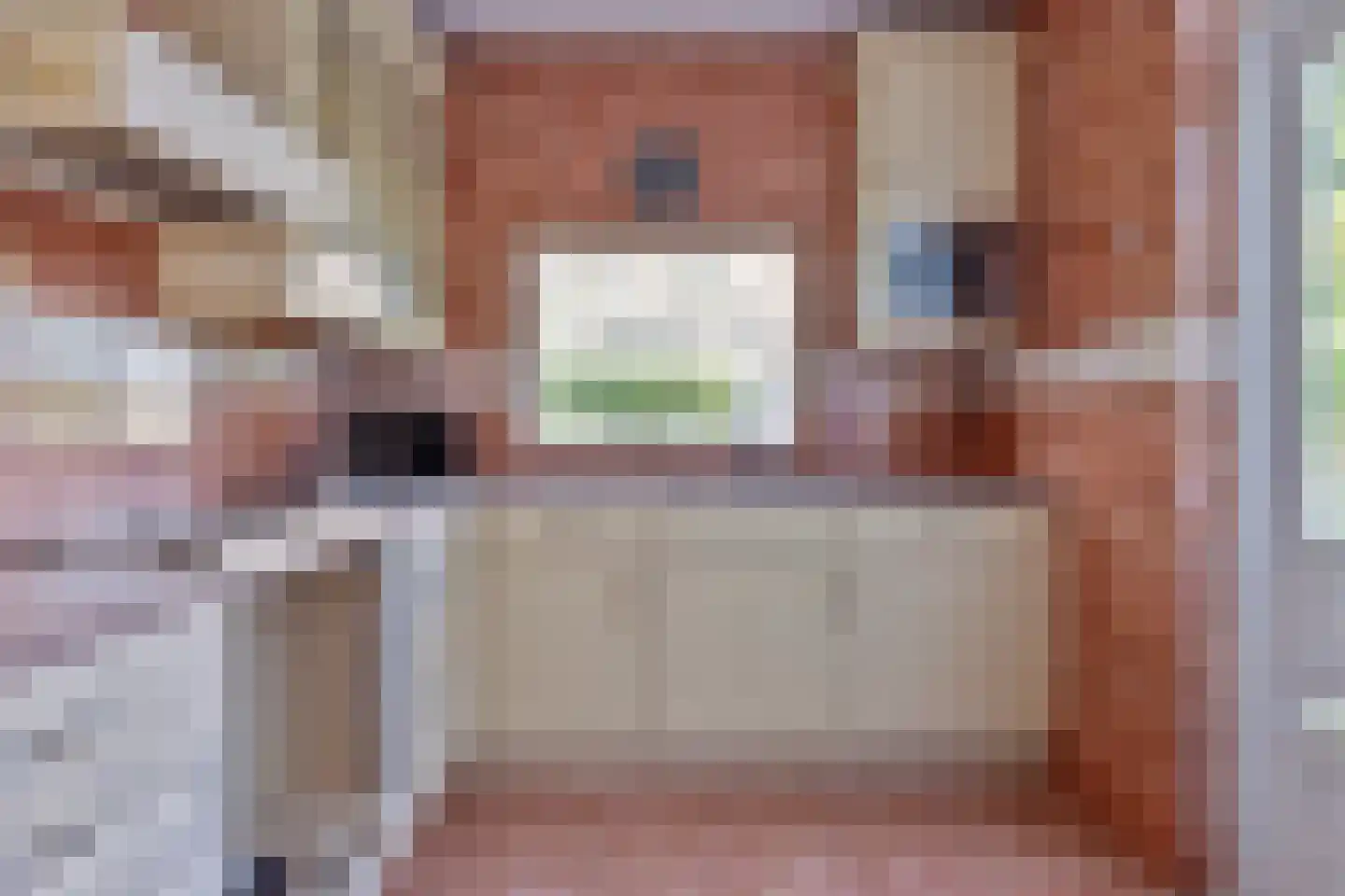 Waalstraat 28 Alkmaar thumbnail 4