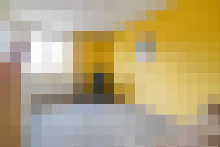 Waalstraat 28 Nijverdal thumbnail 31