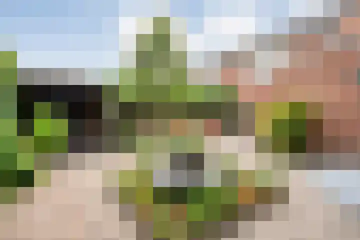 Waalstraat 28 Nijverdal thumbnail 38