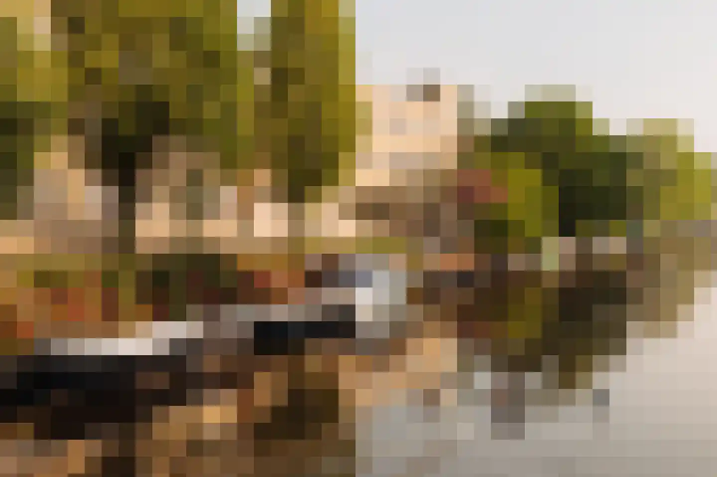 Waalstraat 30 1 Amsterdam thumbnail 24