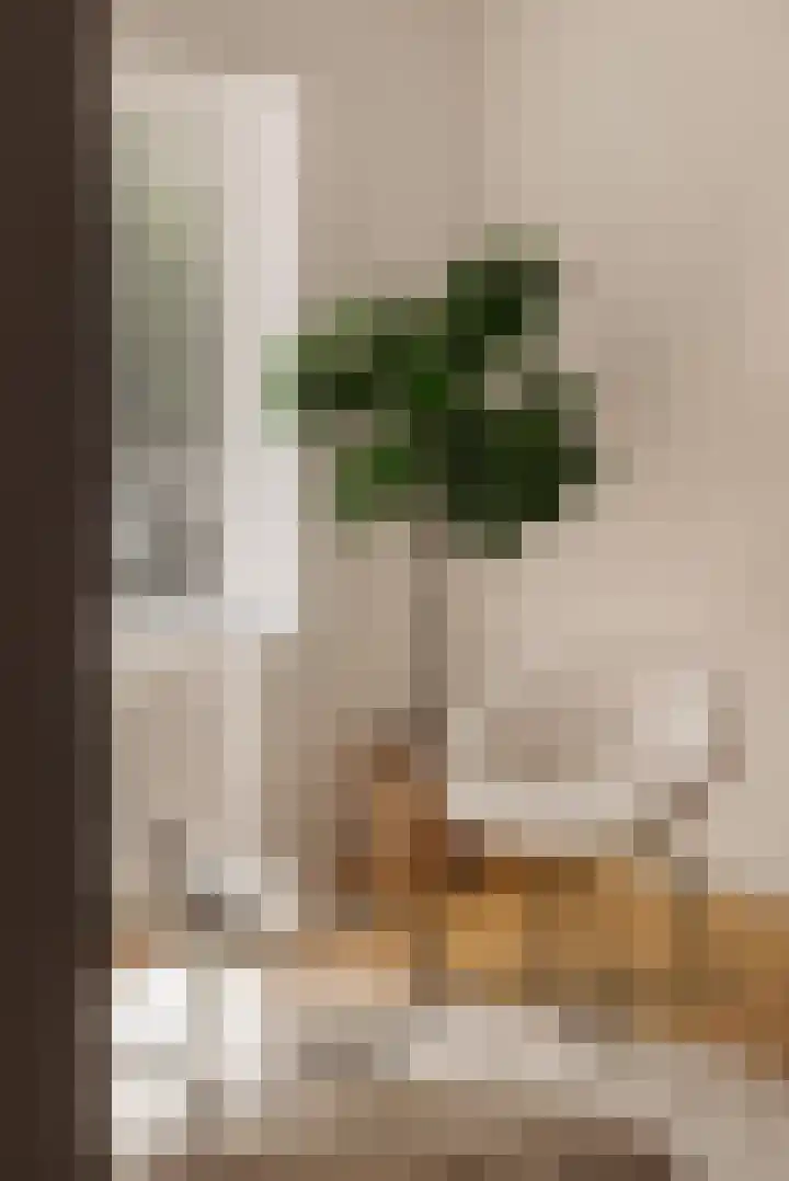 Waalstraat 30 2 Amsterdam thumbnail 4