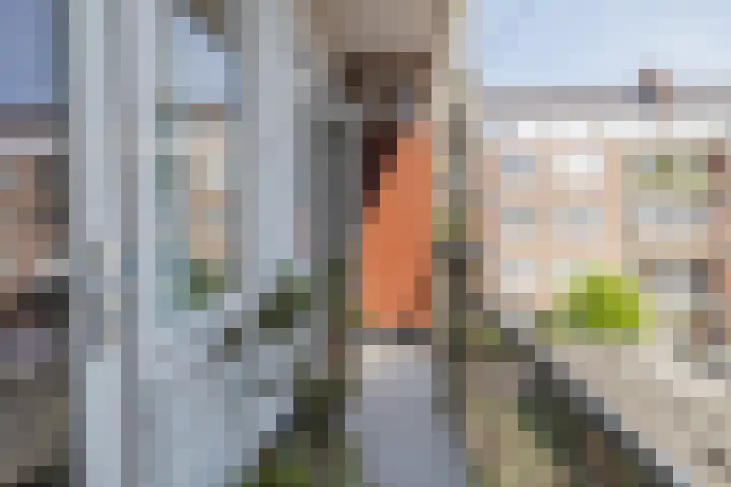 Waalstraat 35 2 Amsterdam thumbnail 32