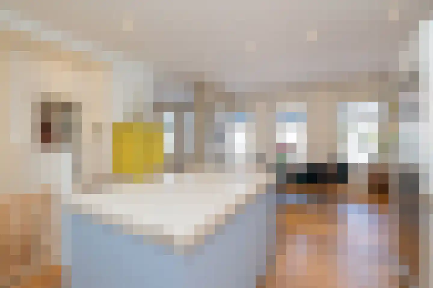 Waalstraat 35 2 Amsterdam thumbnail 5