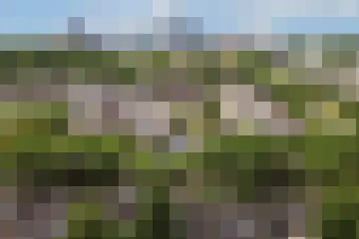 Waalstraat 38 Almere thumbnail 4