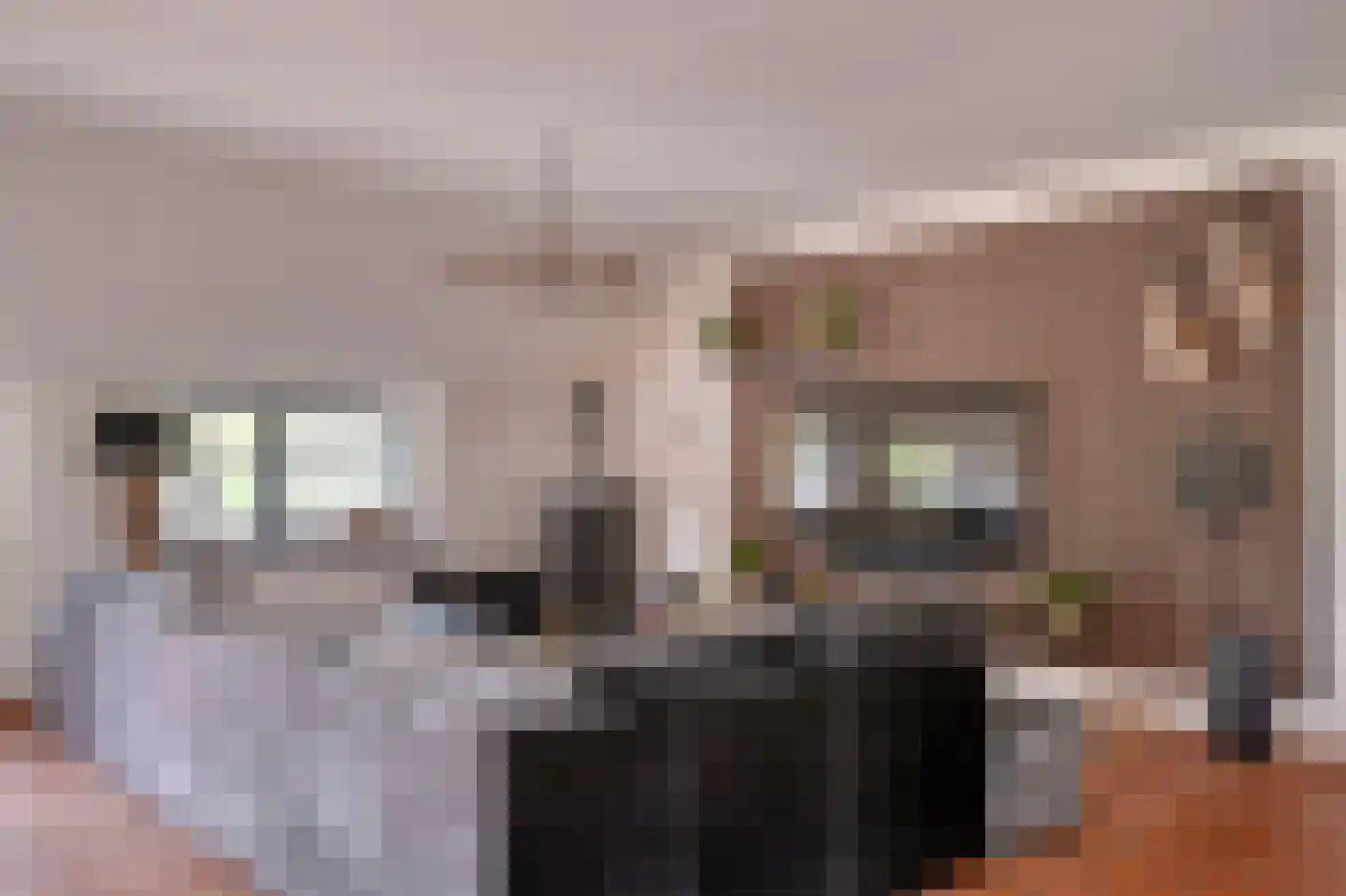 Waalstraat 4 Andelst thumbnail 10