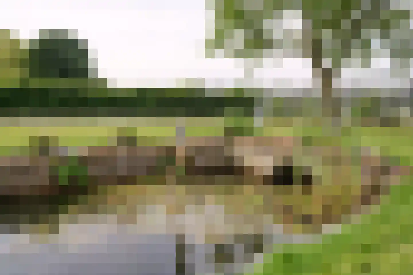 Waalstraat 4 Andelst thumbnail 36