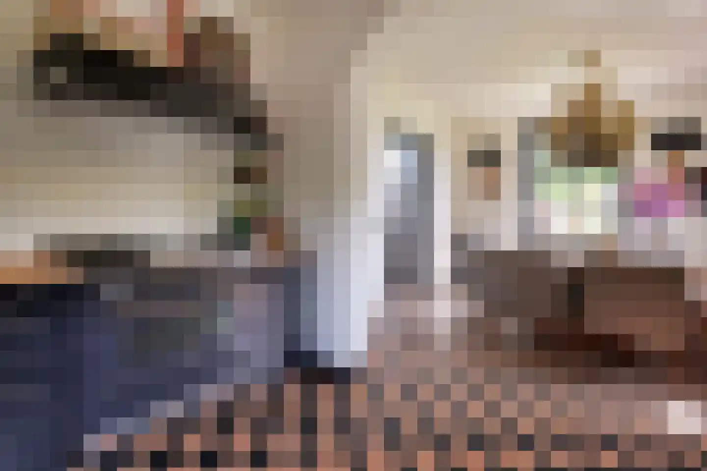 Waalstraat 4 Andelst thumbnail 5