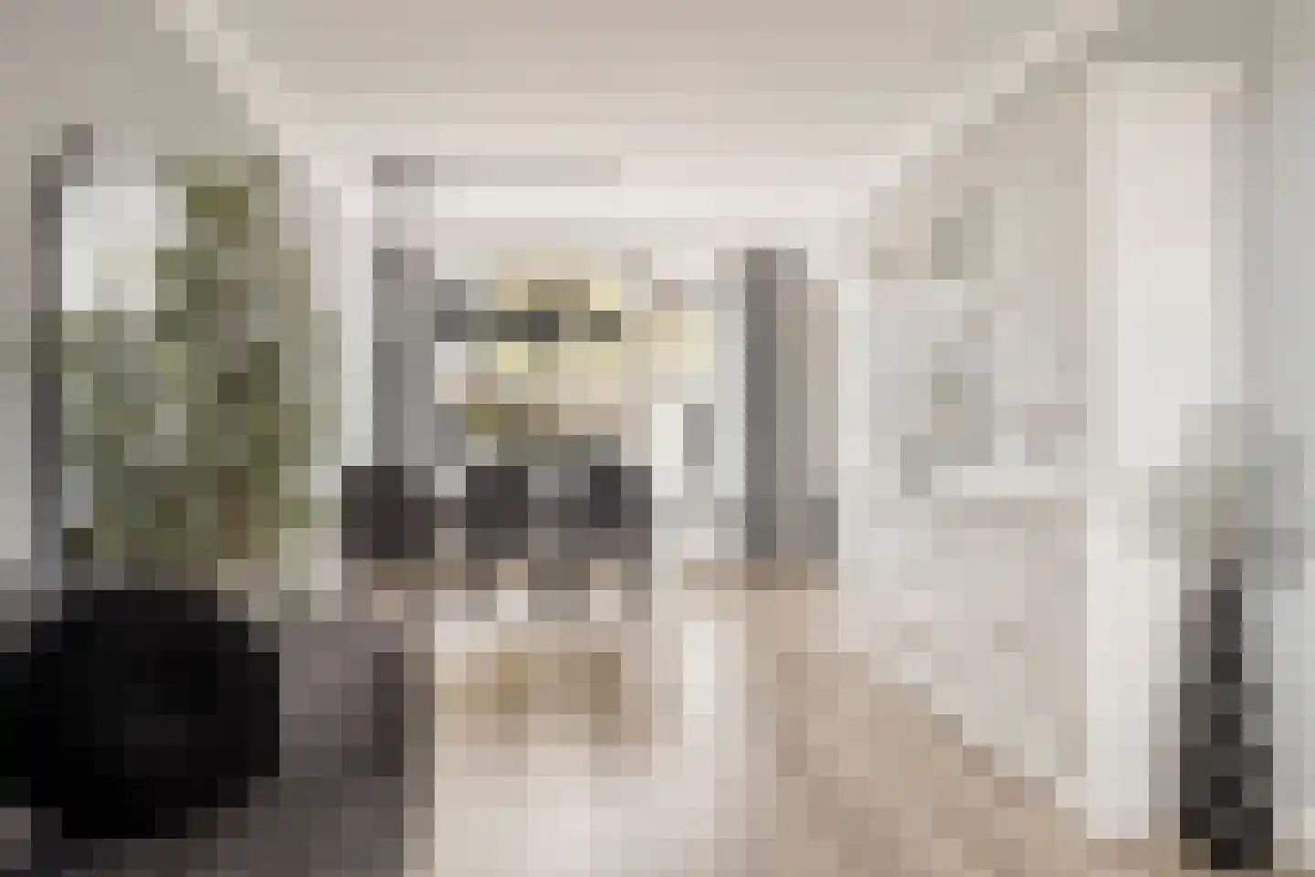 Waalstraat 4 Maasdam thumbnail 10