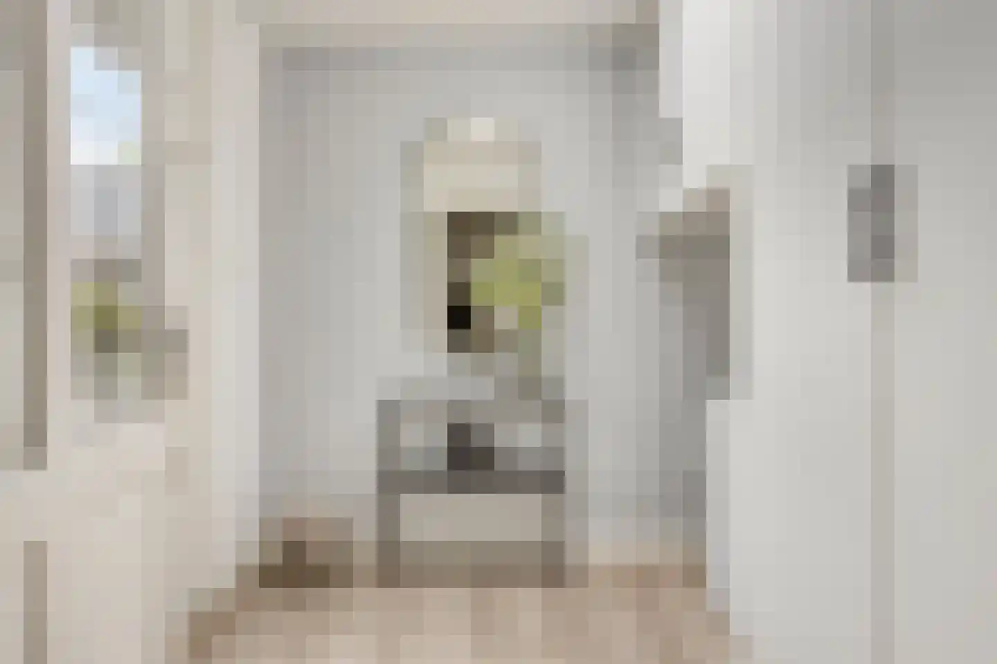 Waalstraat 4 Maasdam thumbnail 19
