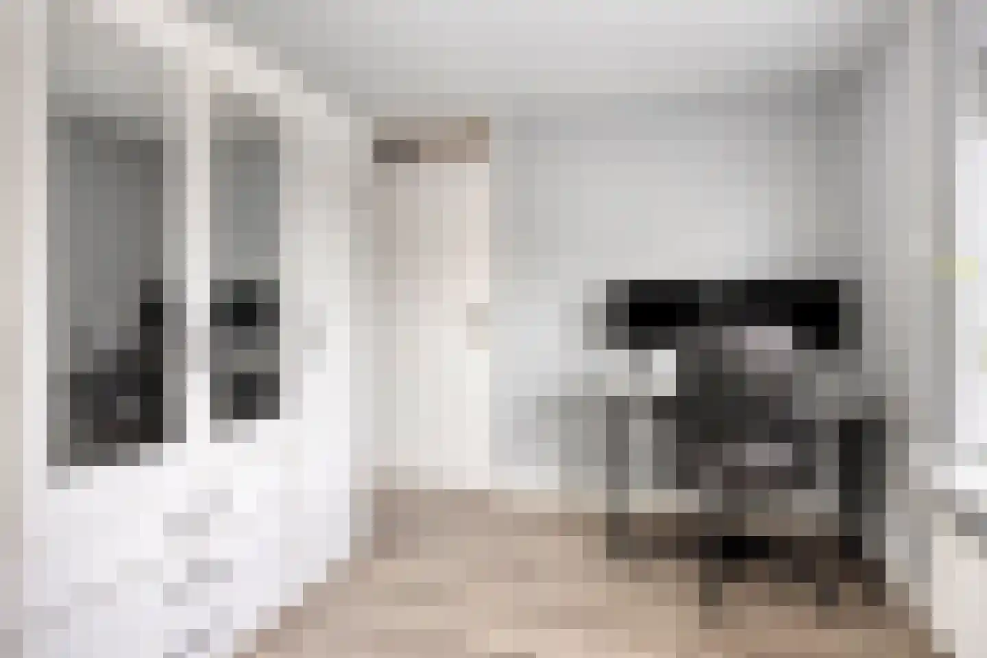 Waalstraat 4 Maasdam thumbnail 26