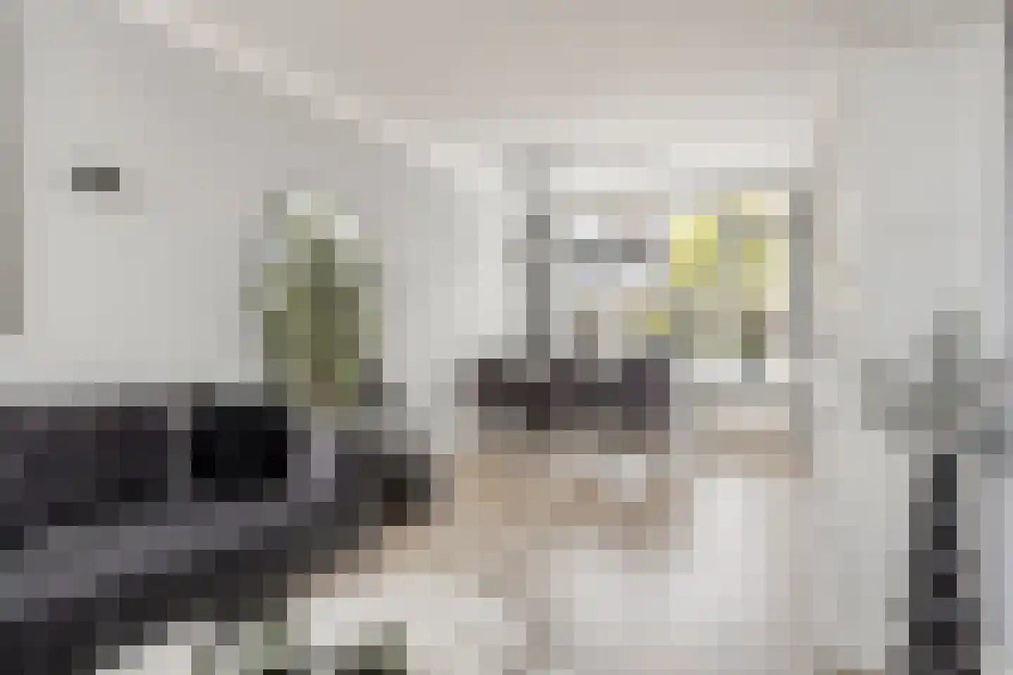 Waalstraat 4 Maasdam thumbnail 7