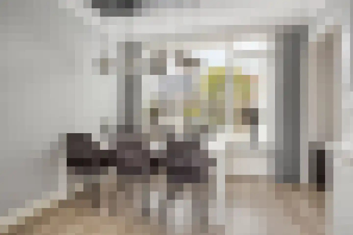 Waalstraat 4 Maasdam thumbnail 8