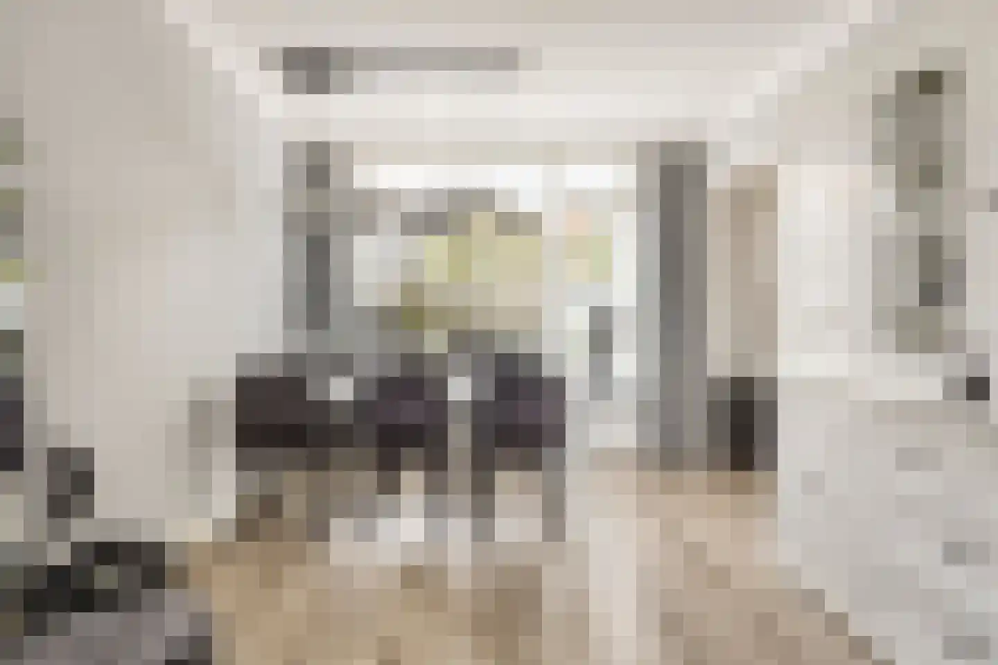 Waalstraat 4 Maasdam thumbnail 9