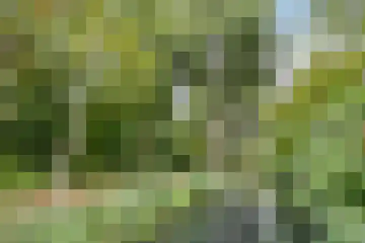 Waalstraat 41 Sliedrecht thumbnail 33