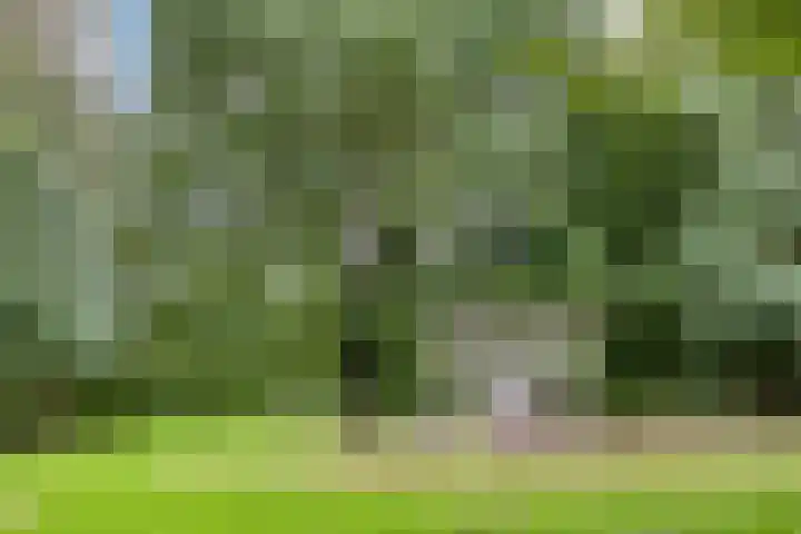 Waalstraat 41 Sliedrecht thumbnail 34