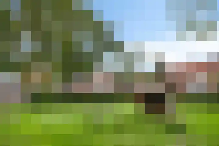 Waalstraat 41 Sliedrecht thumbnail 35