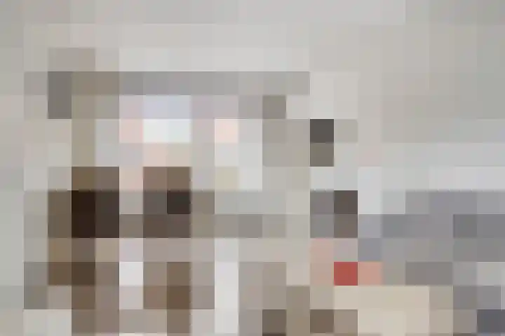Waalstraat 41 Sliedrecht thumbnail 8