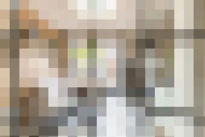 Waalstraat 41 Utrecht thumbnail 13