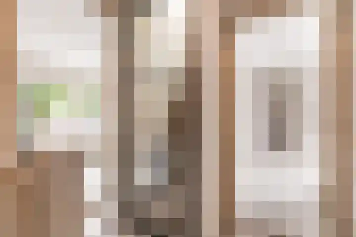 Waalstraat 41 Utrecht thumbnail 34