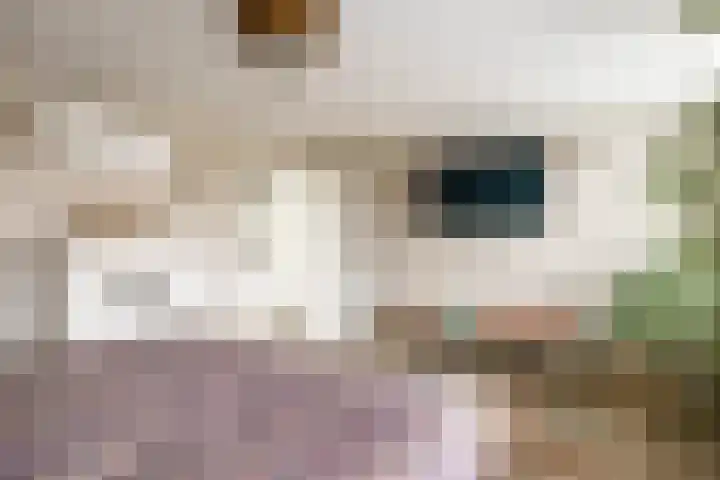 Waalstraat 41 Utrecht thumbnail 53