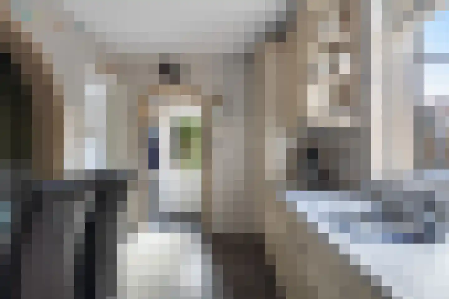 Waalstraat 44 Krimpen aan den IJssel thumbnail 11