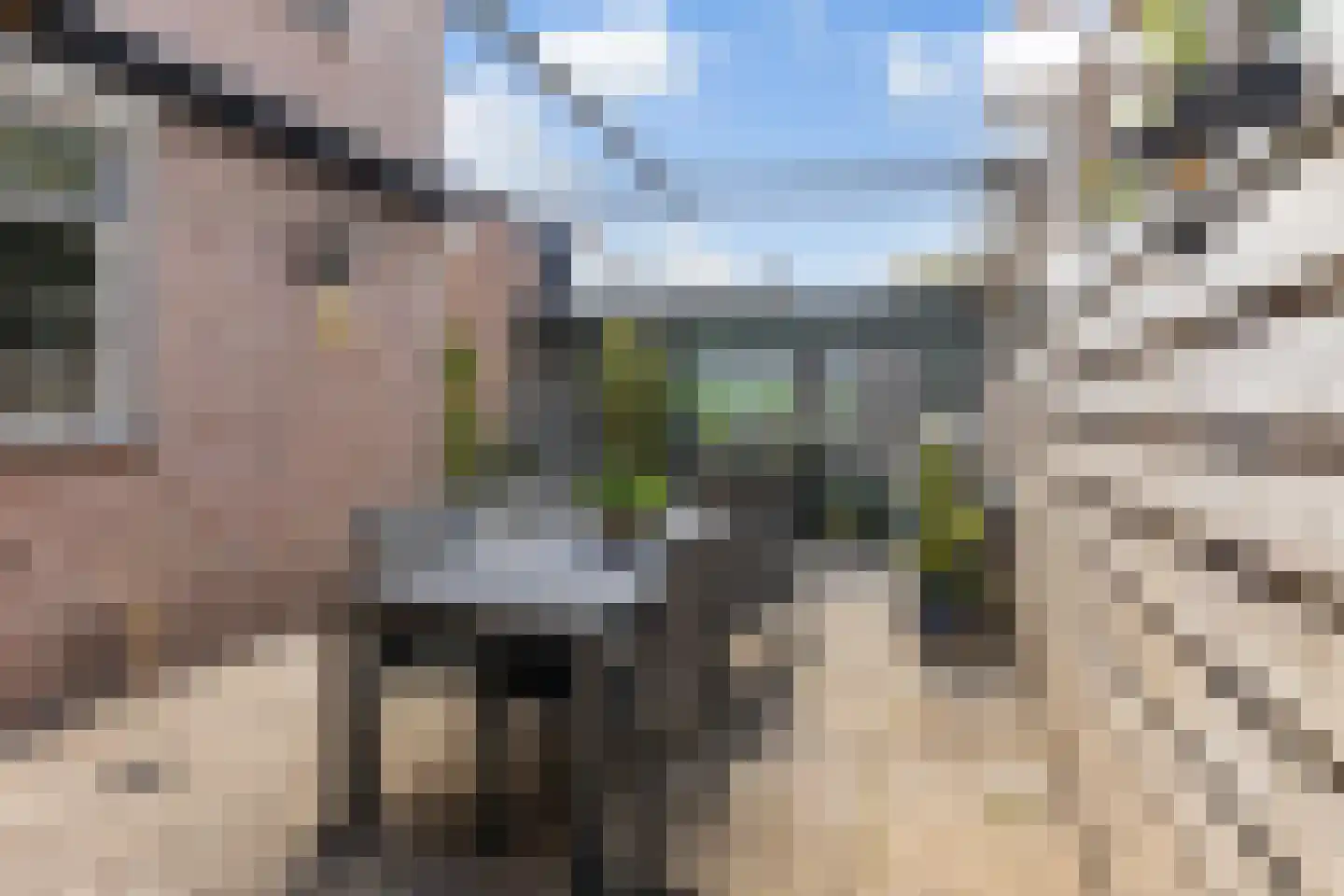 Waalstraat 44 Krimpen aan den IJssel thumbnail 15