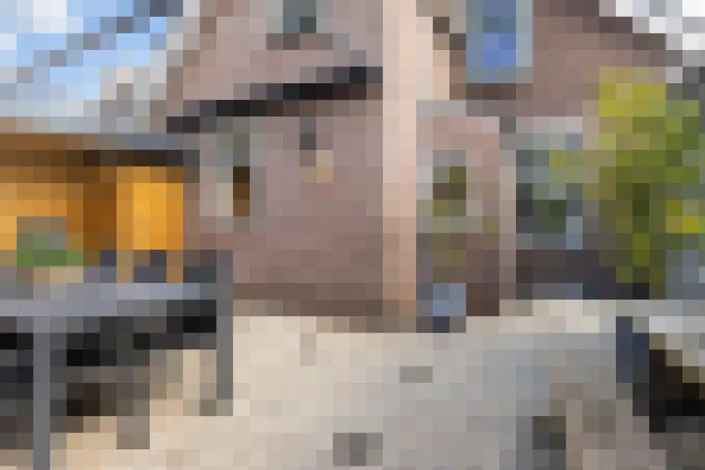 Waalstraat 44 Krimpen aan den IJssel thumbnail 17