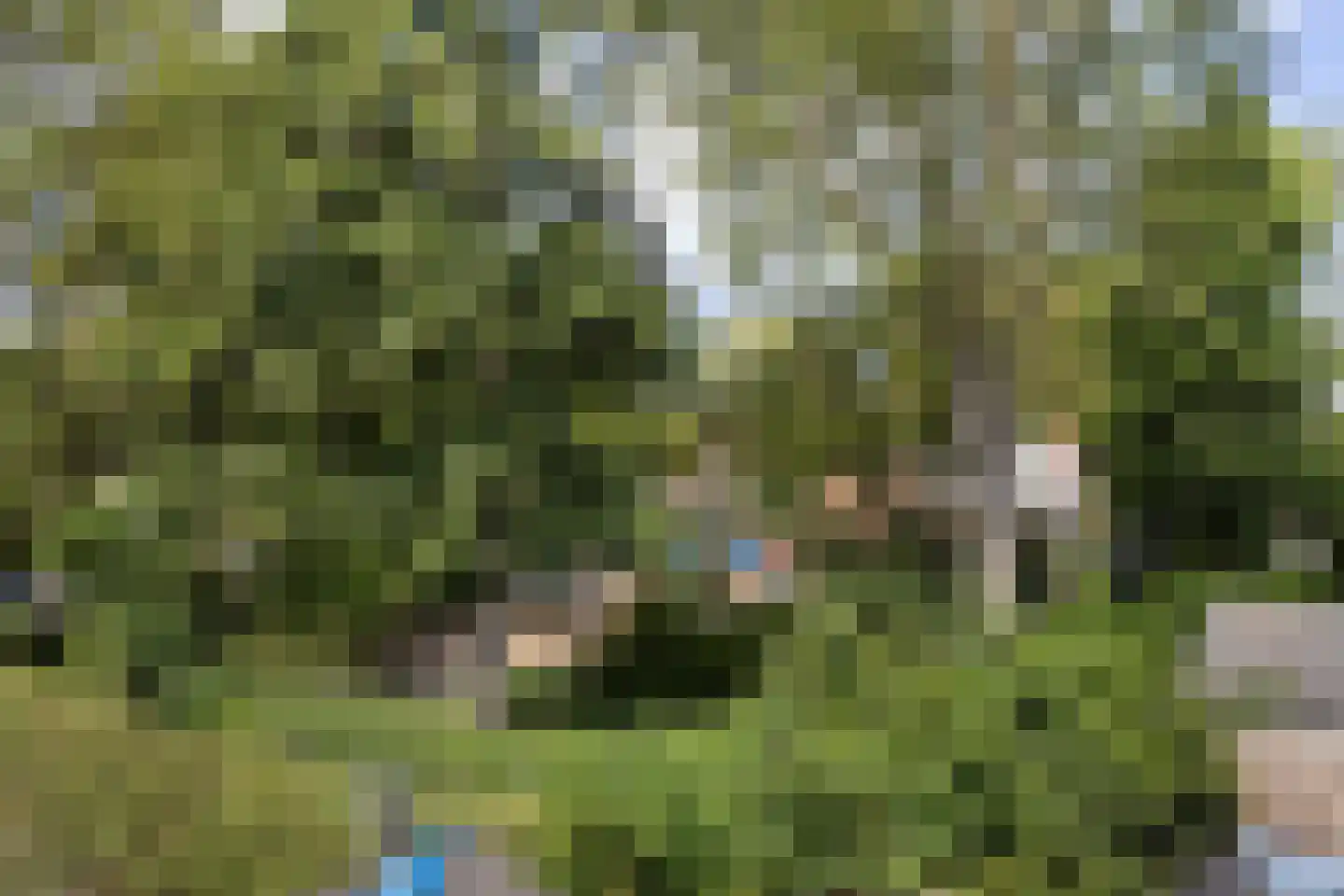 Waalstraat 44 Krimpen aan den IJssel thumbnail 21