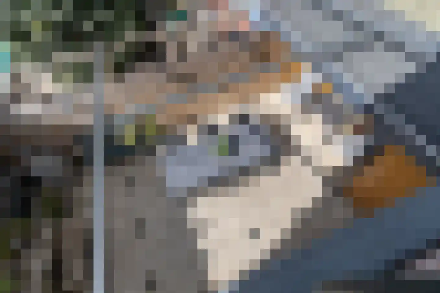 Waalstraat 44 Krimpen aan den IJssel thumbnail 25