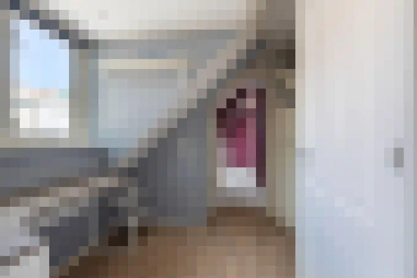 Waalstraat 44 Krimpen aan den IJssel thumbnail 30