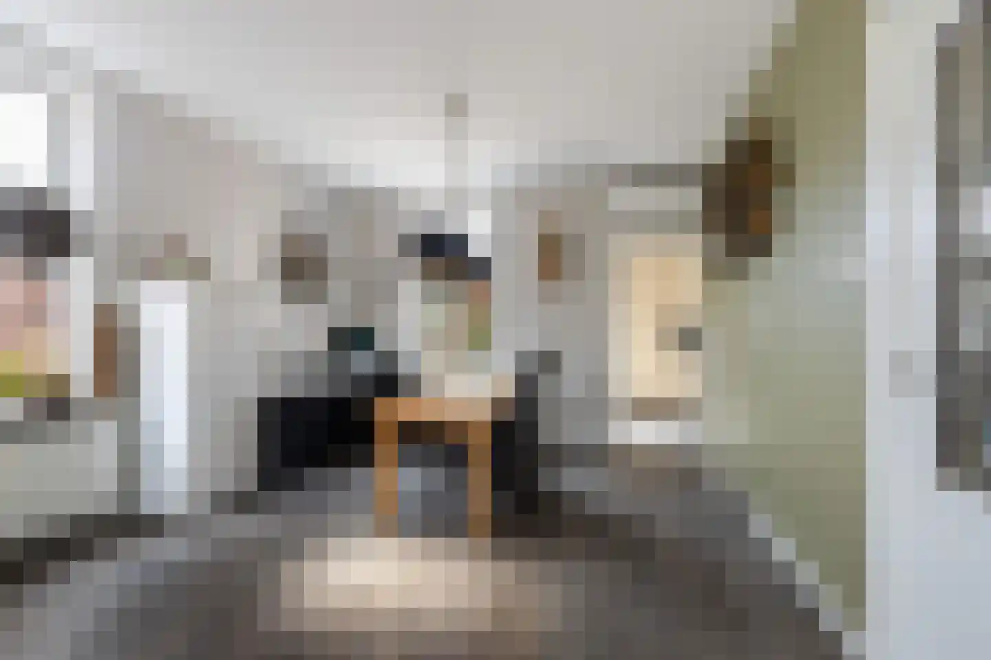 Waalstraat 44 Krimpen aan den IJssel thumbnail 8