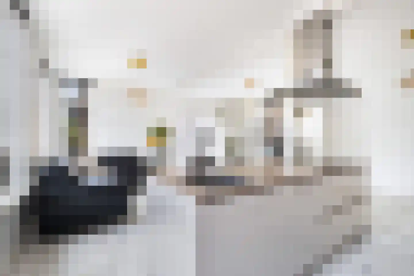 Waalstraat 46 Krimpen aan den IJssel thumbnail 10