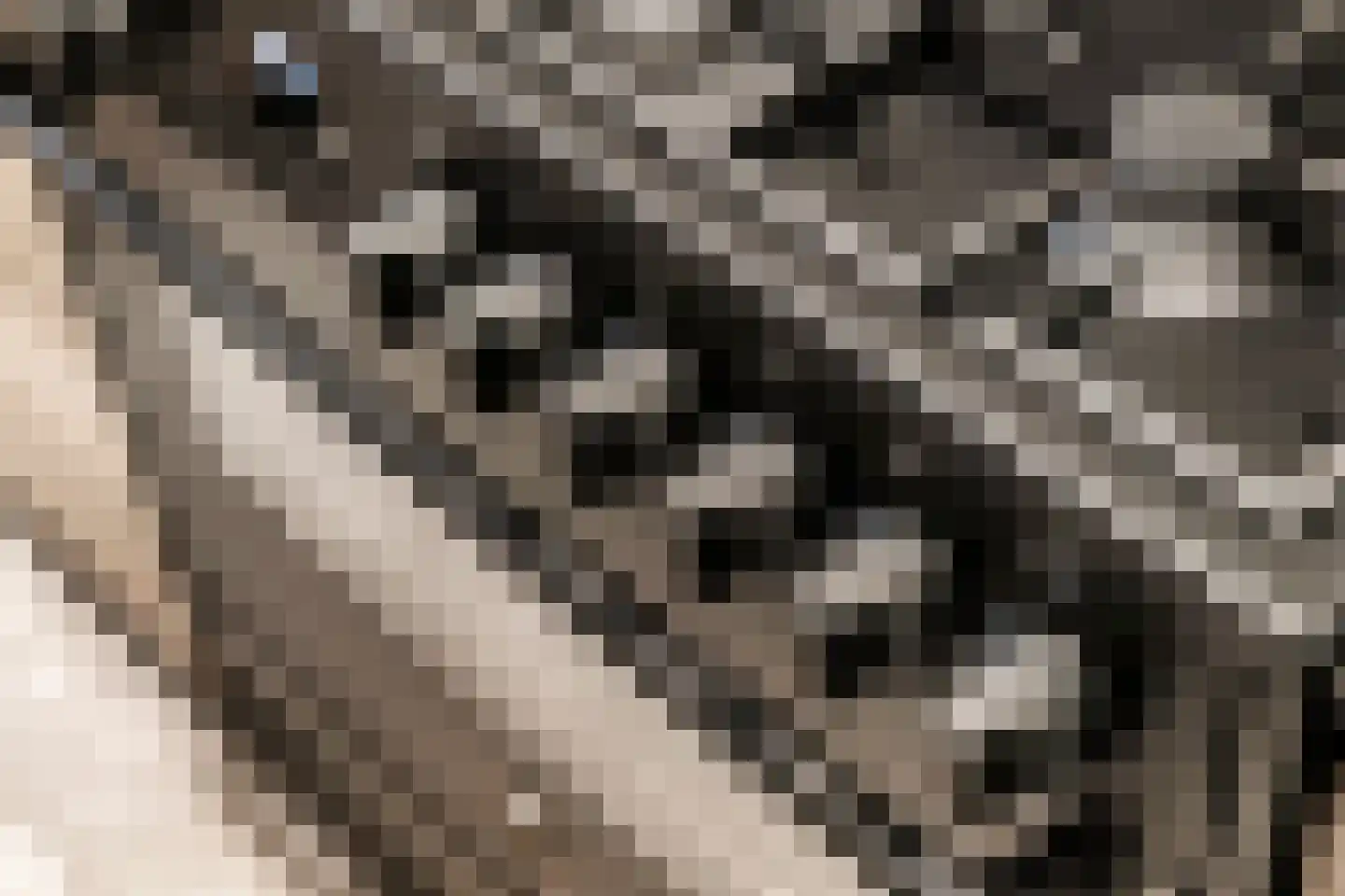 Waalstraat 5 Tiel thumbnail 17