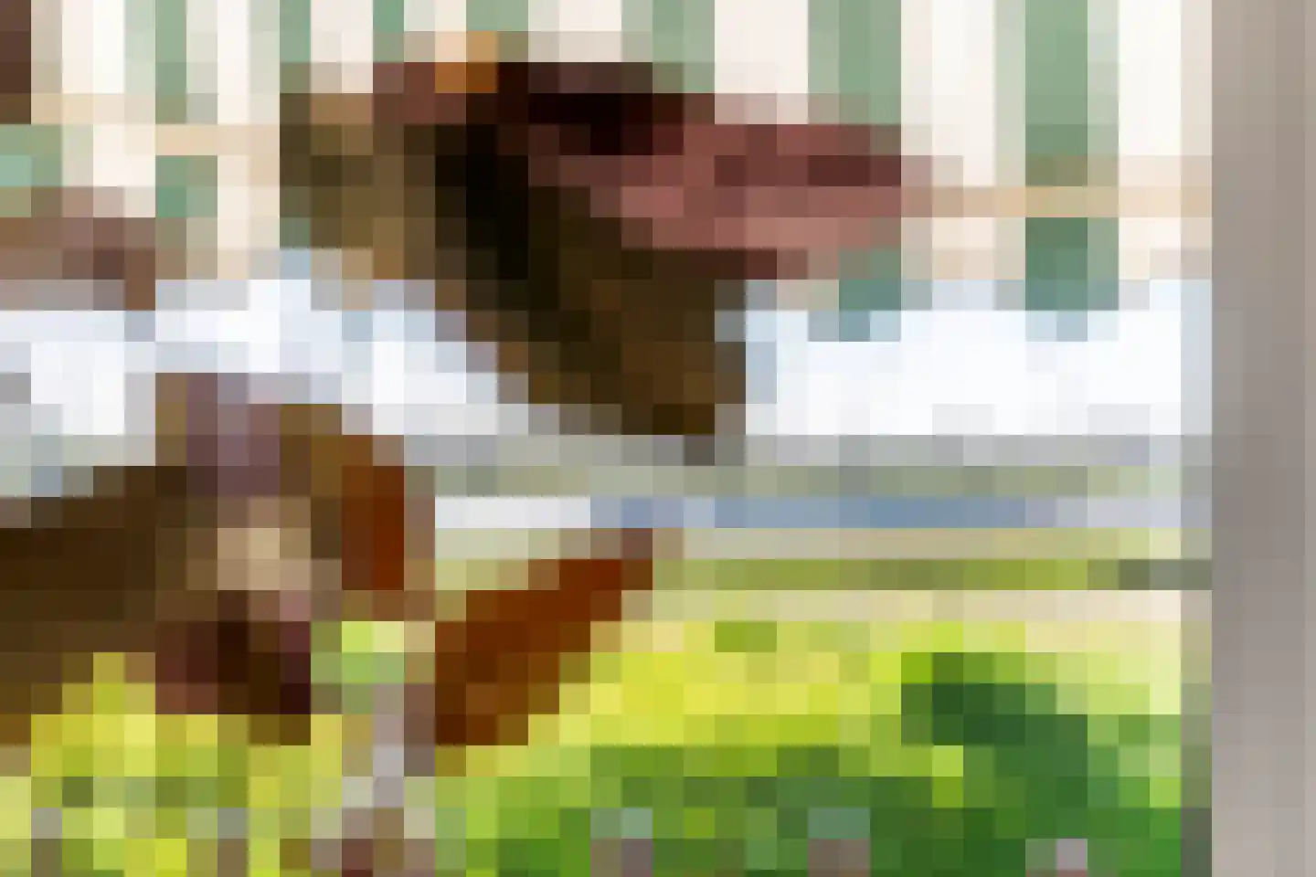 Waalstraat 5 Tiel thumbnail 24