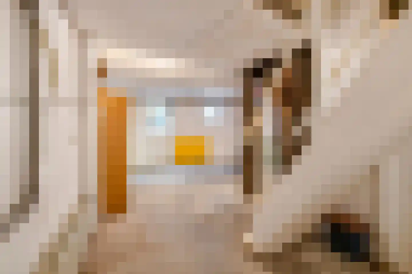 Waalstraat 5 Tiel thumbnail 48