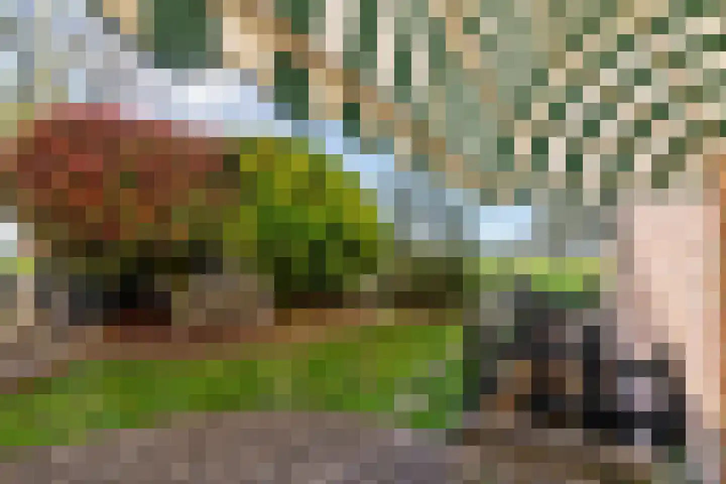 Waalstraat 5 Tiel thumbnail 5