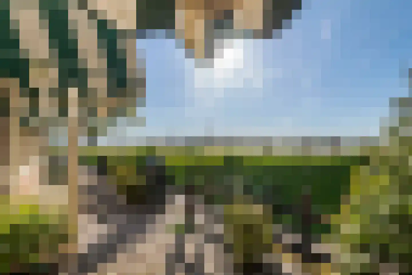 Waalstraat 5 Tiel thumbnail 62