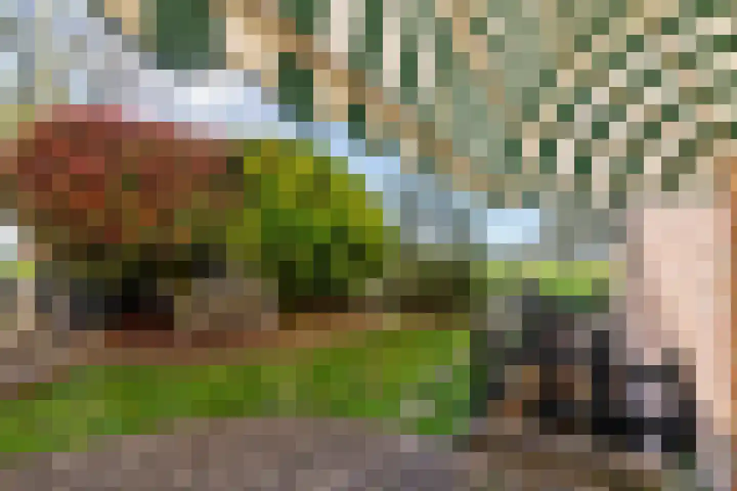 Waalstraat 5 Tiel thumbnail 66