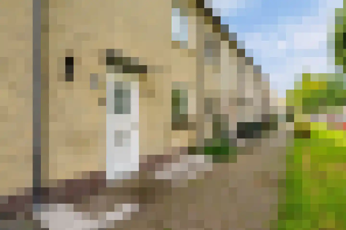Waalstraat 53 Almere thumbnail 53