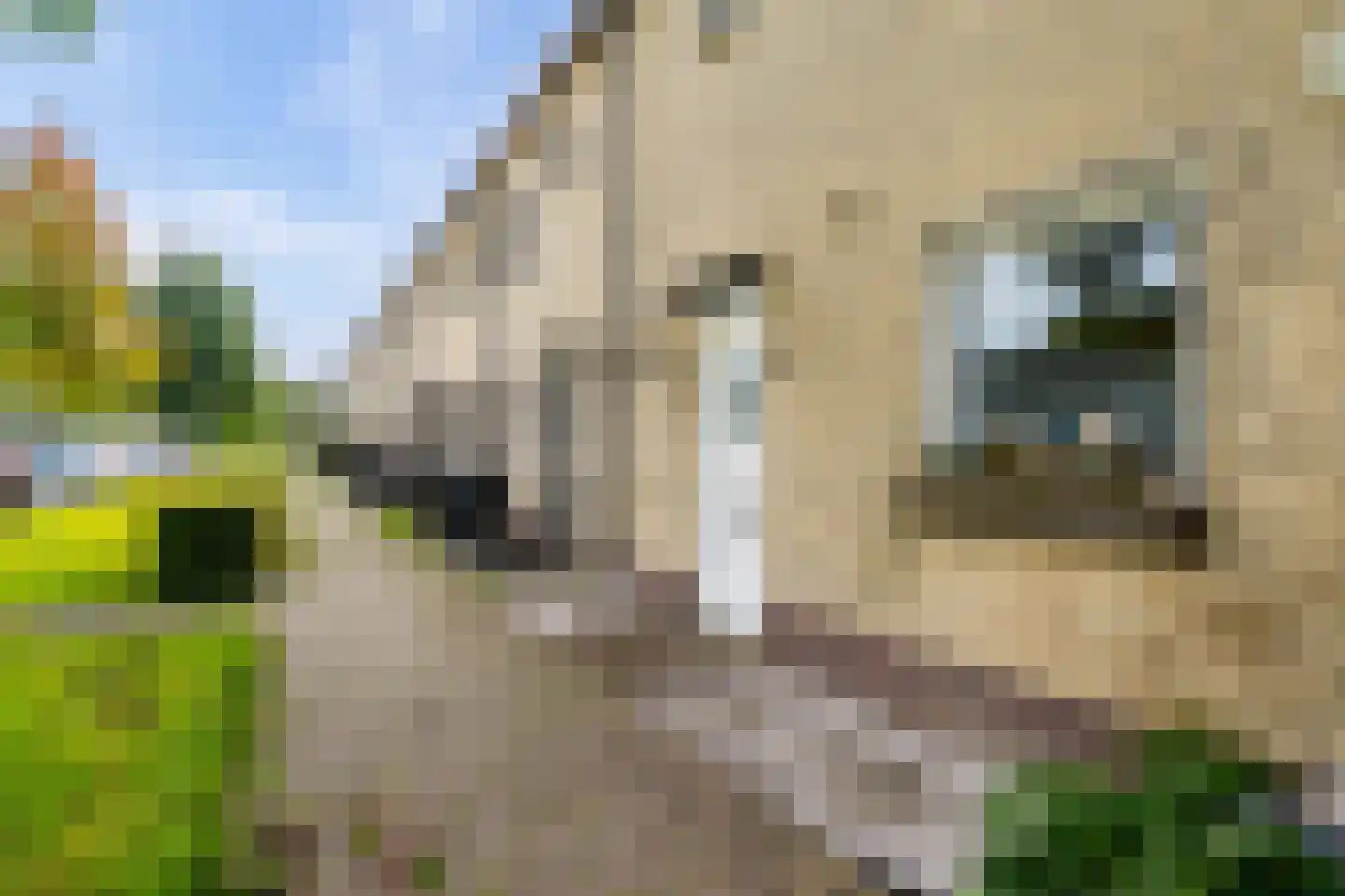 Waalstraat 53 Almere thumbnail 54
