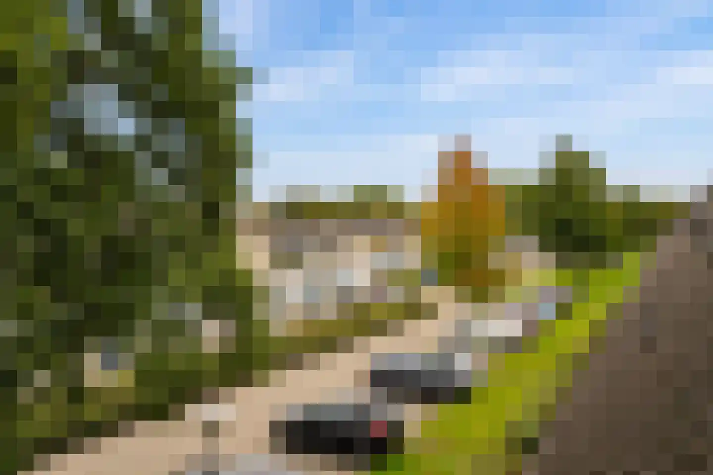 Waalstraat 53 Almere thumbnail 59