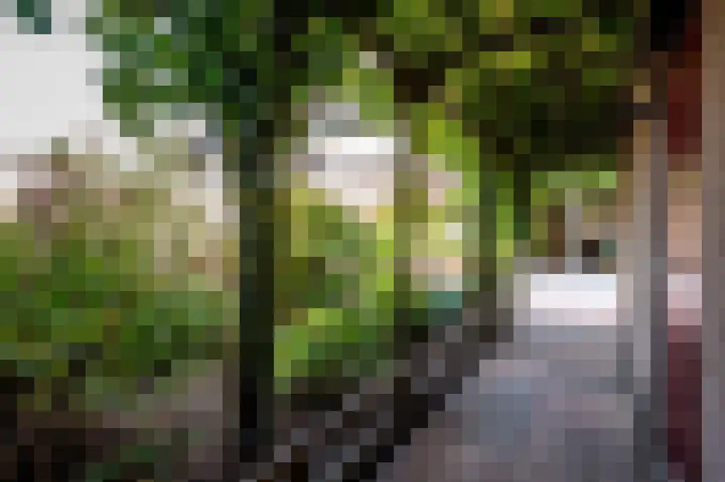 Waalstraat 55 Almere thumbnail 35