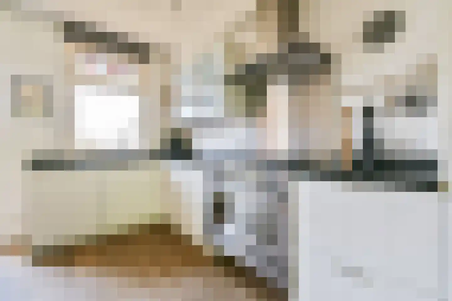 Waalstraat 6 2 Amsterdam thumbnail 10